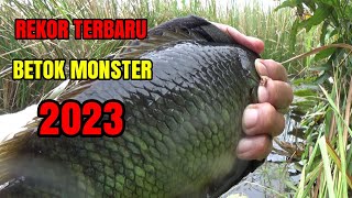 Download lagu REKOR JUM!!! Mancing betok monster di rawa yang tak terjamah manusia mp3 Download lagu REKOR JUM!!! Mancing betok monster di rawa yang tak terjamah manusia mp3