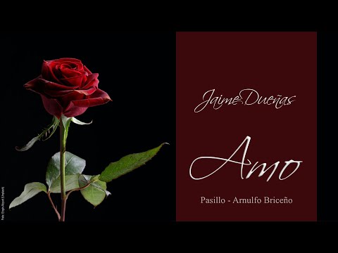 Amo