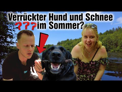 Schnee im Sommer? Abenteuer mit Hund im Duinger Wald | 2021 | [Vlog 014]