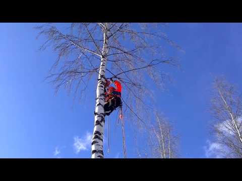 pihapuun poisto kiipeämällä