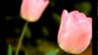 Take Your Time   Brian Culbertson