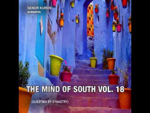 The Mind Of South volume 18 - GUESTMIX BY SYNASTRY MUSIC