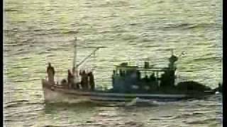 Nara Leão - Você e eu