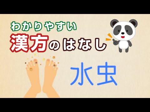 薬学科 ジュクジュク水虫・・・漢方で改善できる？