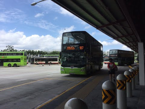 SMRT Bus Service 187 [SG5976P]: W'lands Temp Int → Blk 223