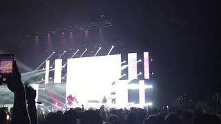 Big Wild - Purple Sand