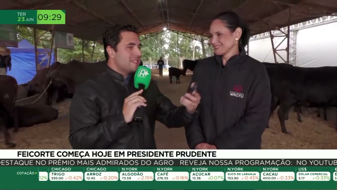 Feicorte 2026: um dos maiores eventos da cadeia pecuária começa hoje (23)