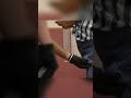 Empty Holster Leads To Cuffing At Border
