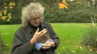 Brian May & Percy The Hedgehog - Community Channel Trailer 8 Dec 2011