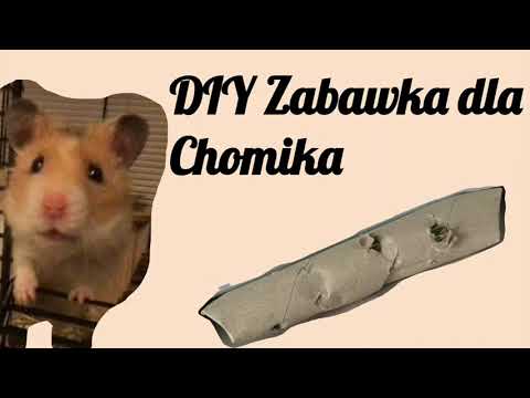 DIY (zrób to sam) Zabawka dla Chomika