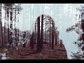 Bon Iver - For Emma, Forever Ago (Extended ...