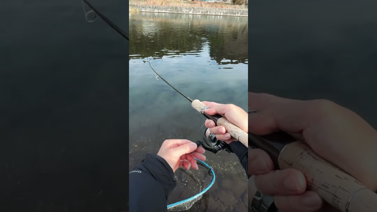 Japan Fishing ASMR - Trout Fight#91🎣