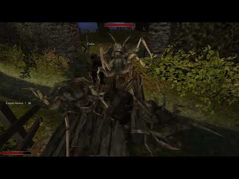 Let's Stream Gothic II, The Chronicles of Myrtana - Archolos #5