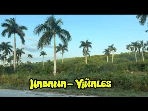 Viajamos a Viñales, el lugar más bello de Cuba. Viñales, Pinar del Rio.