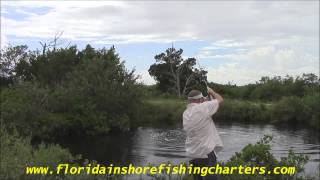 preview picture of video 'Mosquito Lagoon Backcountry Tarpon Fishing'