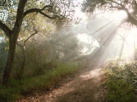 Baba (Father): Song from Belize by Adrian Martinez and Andy Palacio