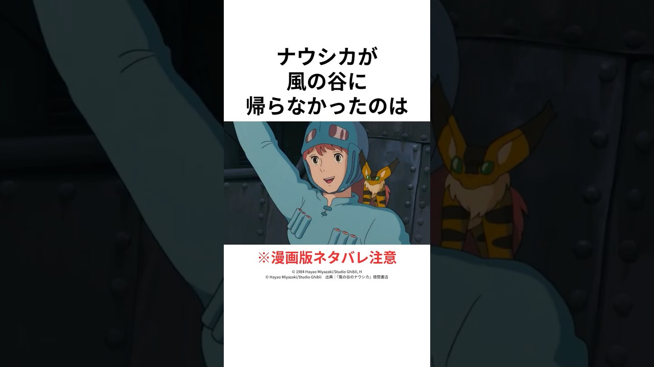 ※ネタバレ注意 映画では語られなかった『ナウシカのその後』【風の谷のナウシカ】