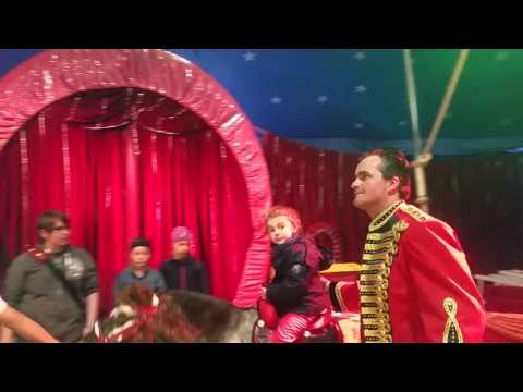 Zirkus Robinie Bad Liebenstein(1)