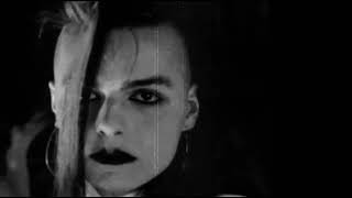 LACRIMOSA. FLAMME IM WIND  SUBTITULADA