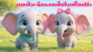 เพลงช้าง น้องเคยเห็นช้างหรือเปล่า เพลงเด็กในตำนาน เพลงเด็กคิดส์มีซอง 2568