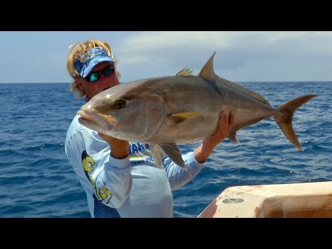 怪魚を狙う深海釣り-ハタタテダイとアンバージャック (Deep Sea Fishing for Monster Fish - Grouper Snapper and Amberjack)