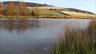 preview picture of video 'Mossat Trout Fishery - Fly fishing near Aberdeen'