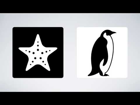 Black and White Flashcards of Animals for Newborn Babies | PlayWorksheet