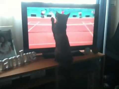 comment participer a roland garros