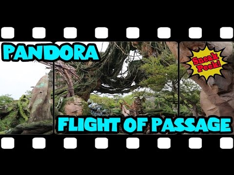 PANDORA - The World of Avatar - Flight of Passage Ride Queue, Pre-Show and Gift Shop