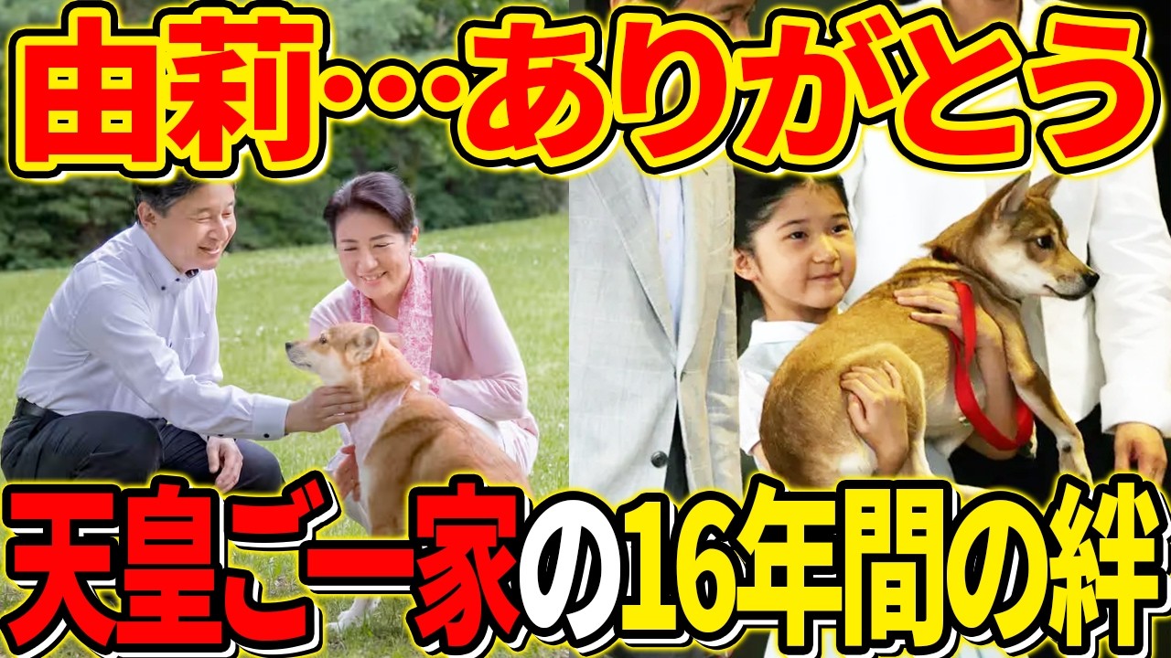 【涙腺崩壊】敬宮殿下と16年共にした愛犬・由莉との別れ…受け継がれる命のバトン