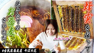 ニホンミツバチの蜂蜜を採って古民家そば屋で挽きたてのお蕎麦をいただく！