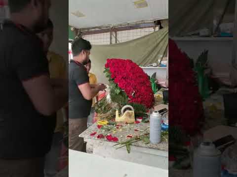 900rose bunch#youtubeshorts  #flowers #fnp