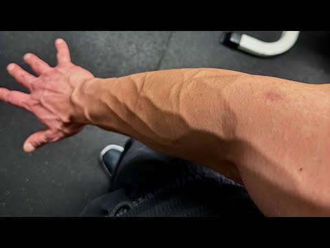 Winter Bulk Ep 44 | Back & Biceps 