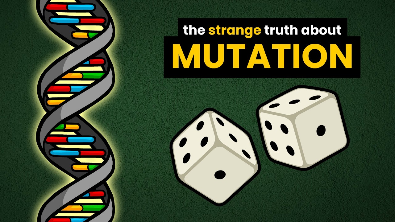 Mutation Bias: Were We Wrong About Evolution?