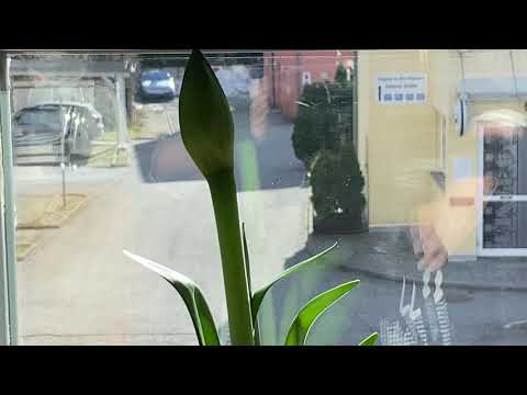 Gott sieht und hört uns