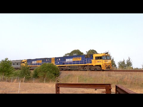 Journey Beyond's Great Southern bush fire detour