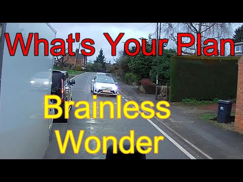 What's Your Plan Now Then? Please Tell Me! Head To Head With Another Brainless Wonder!