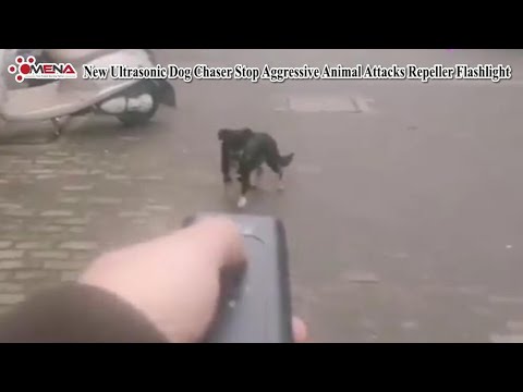 New Ultrasonic Dog Chaser Stop Aggressive Animal Attacks Repeller Flashlight