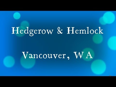 cranberries! vaccinium macrocarpon