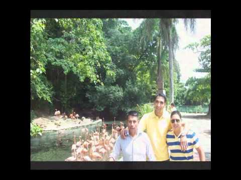 LO MAS SORPRENDENTE EN UNA PLAYA!!!