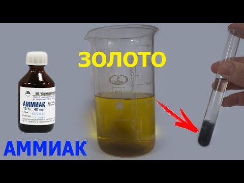 Аммиак! Очень Надёжное Средство Найти ЗОЛОТО