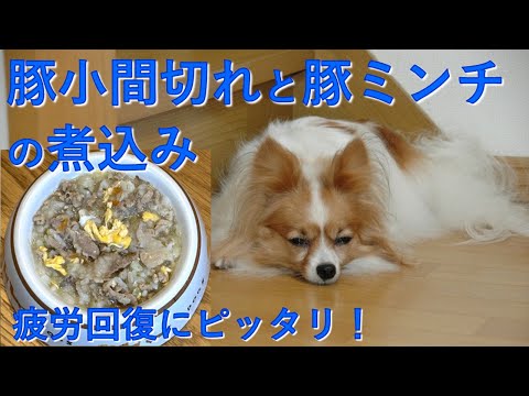 高齢犬のためのビタミン