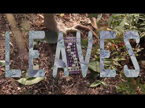 Mystic Circuits Leaves Expander