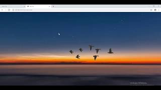 Bird Fly Animation Using HTML &amp; CSS - Learning Point