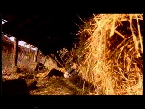 Bekrije-Miris proljeća 1997.