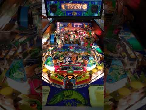 A l'aide ! Flipper - Williams Fish Tales (1992)