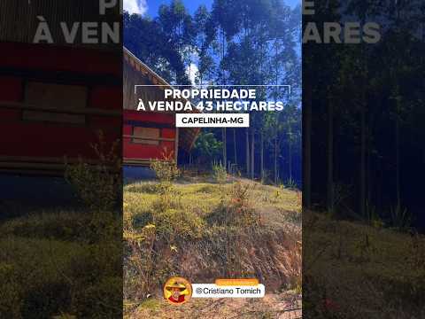 FAZENDA 43 HECTARES CAPELINHA-MG R$ 2.580.000,00