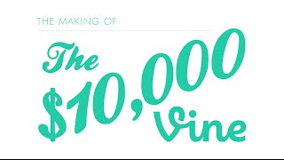The $10,000 Vine Video