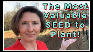 Most Valuable SEED to Plant 2021