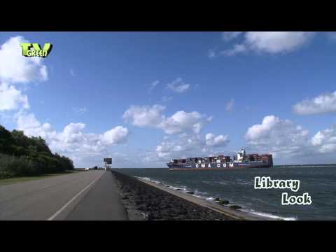 Port of Rotterdam: Yangtzehaven Containerships